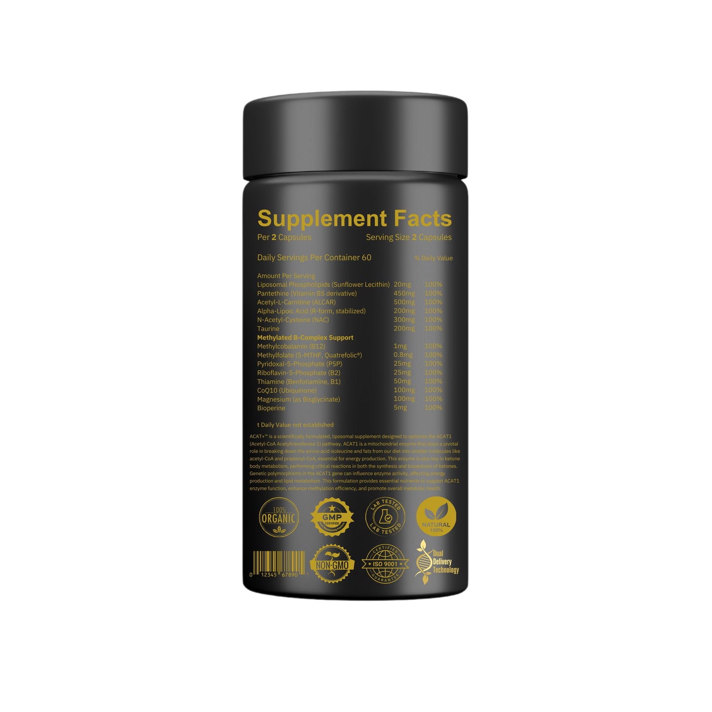 ACAT Support+™ Methylation | Energy Production | Lipid Metabolism