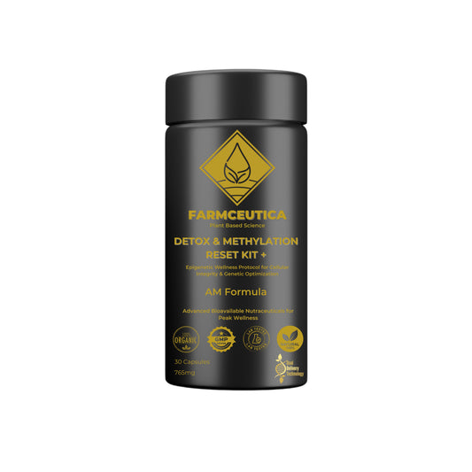 Detox & Methylation Reset Kit™ Liver Detox | Methylation Support | DNA Repair & Resilience