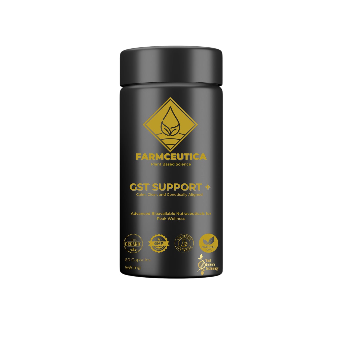 GST Support +™ Methylation | Homocysteine Regulation | Antioxidant Defense