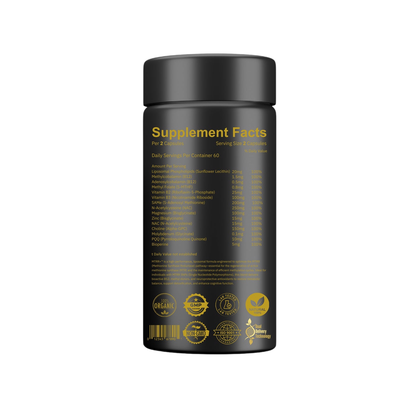 MTRR+ Support™ Your Blueprint for Energy | Clarity | Genetic Resilience