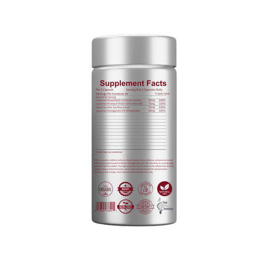 SAS+ Vitality | Stress | Resilience