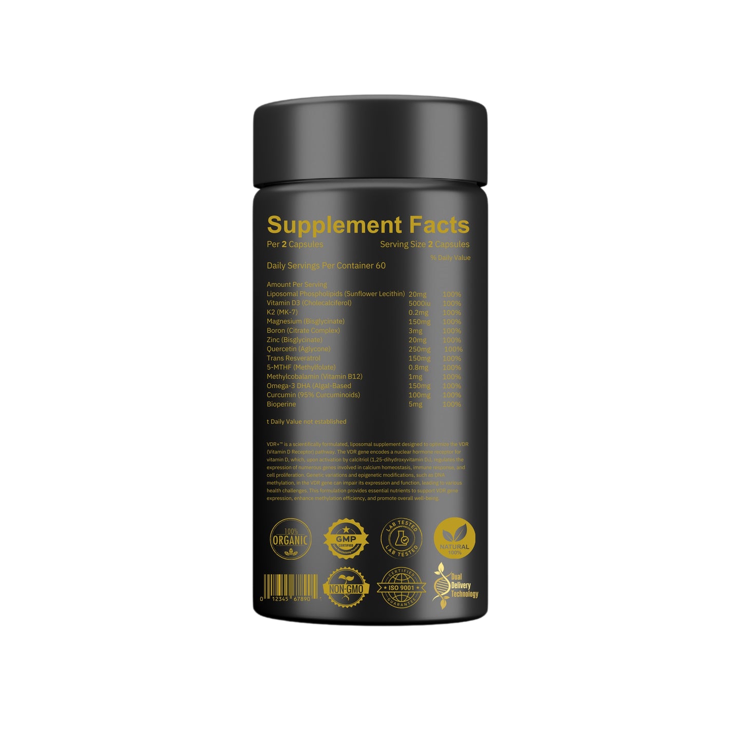 VDR Support+™ Receptor Activation | Immune Resilience | Mood | Methylation Support