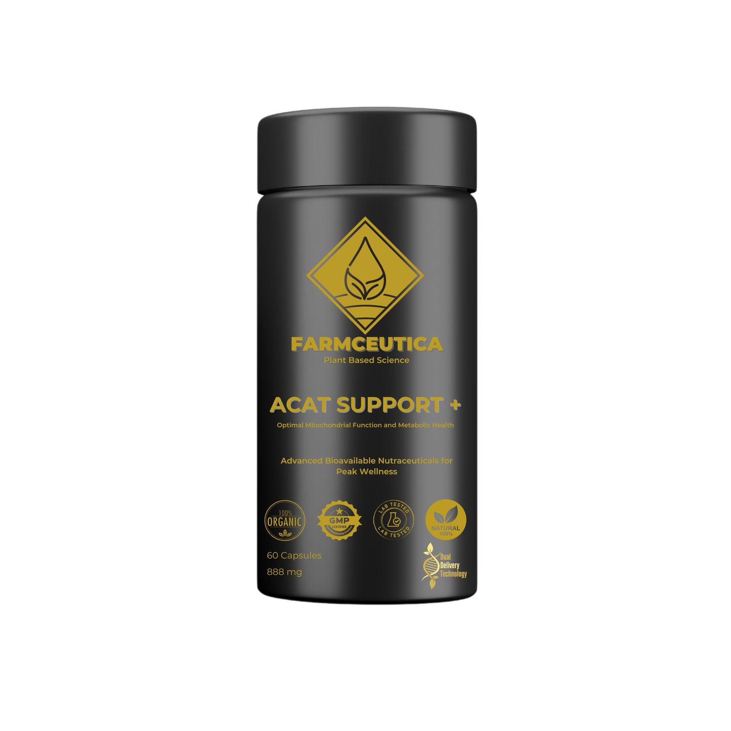 ACAT Support+™ Methylation | Energy Production | Lipid Metabolism