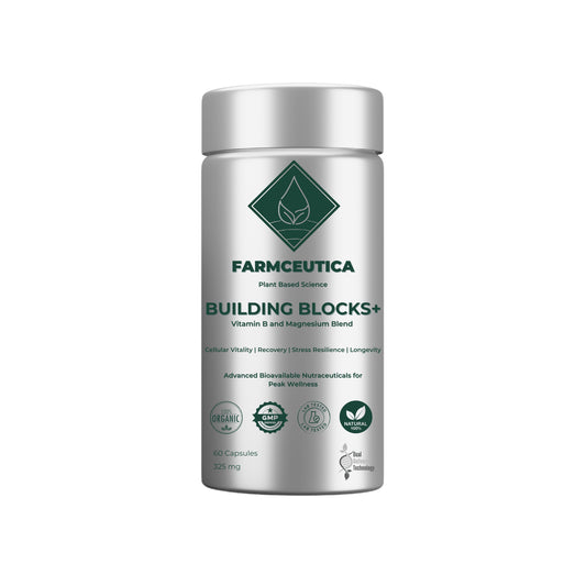 Building Block +™ Cellular Vitality | Recovery | Stress Resilience | Longevity