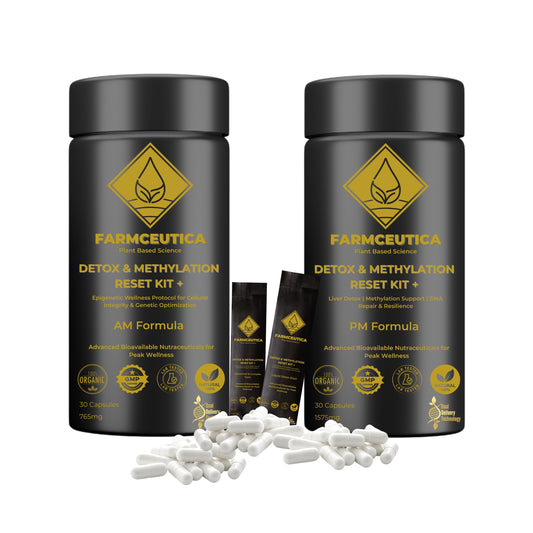 Detox & Methylation Reset Kit™  Liver Detox | Methylation Support | DNA Repair & Resilience