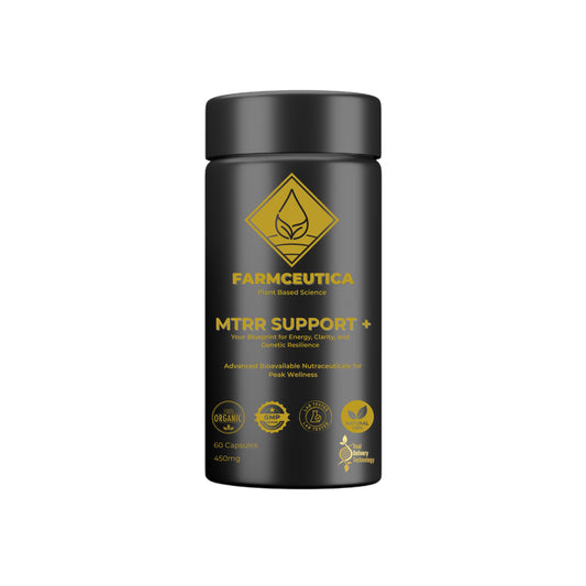 MTRR+ Support™ Your Blueprint for Energy | Clarity | Genetic Resilience
