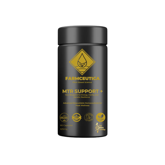 MTR Support +™ Your Blueprint for Energy | Clarity | Genetic Resilience.