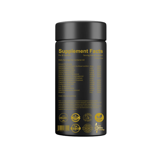 MTR Support +™ Your Blueprint for Energy | Clarity | Genetic Resilience.